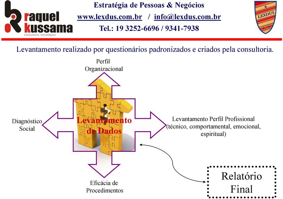 Perfil Organizacional Levantamento de Dados Diagnóstico