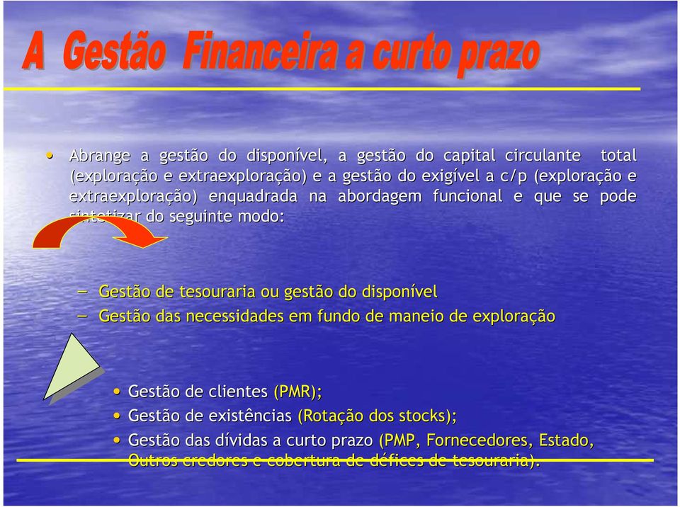 gestão do disponível Gestão das necessidades em fundo de maneio de exploração Gestão de clientes (PMR); Gestão de existências