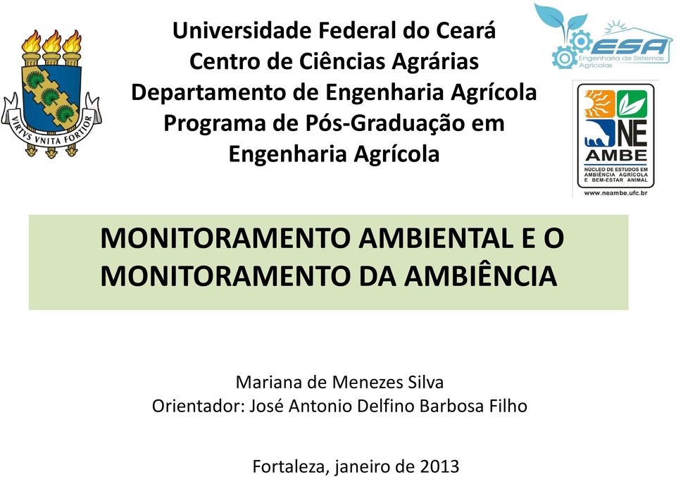 MONITORAMENTO AMBIENTAL E O MONITORAMENTO DA AMBIÊNCIA Mariana de Menezes