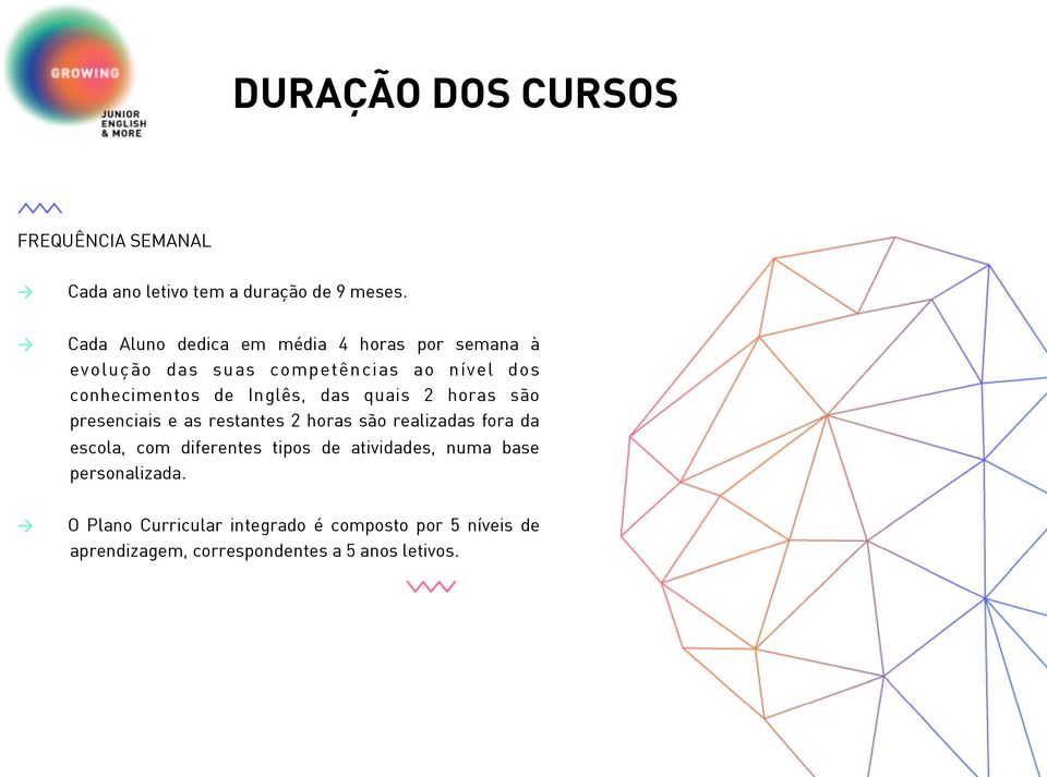 Inglês, das quais 2 horas são presenciais e as restantes 2 horas são realizadas fora da escola, com diferentes