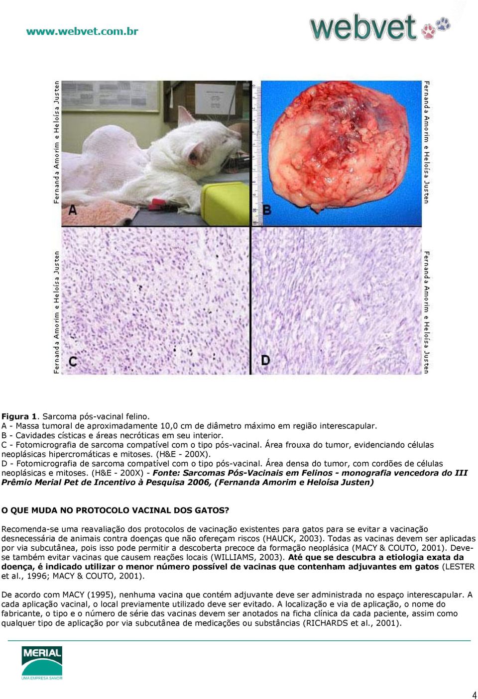 Sarcomas pós-vacinais em felinos INTRODUÇÃO - PDF Free Download