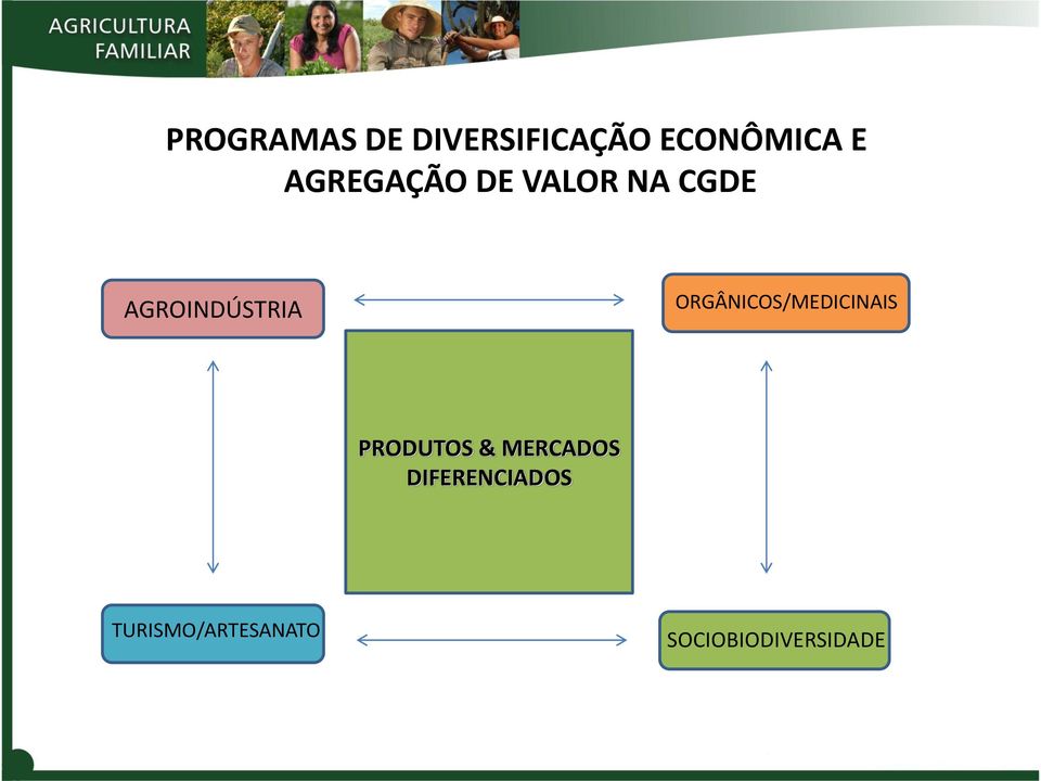 ORGÂNICOS/MEDICINAIS PRODUTOS & MERCADOS