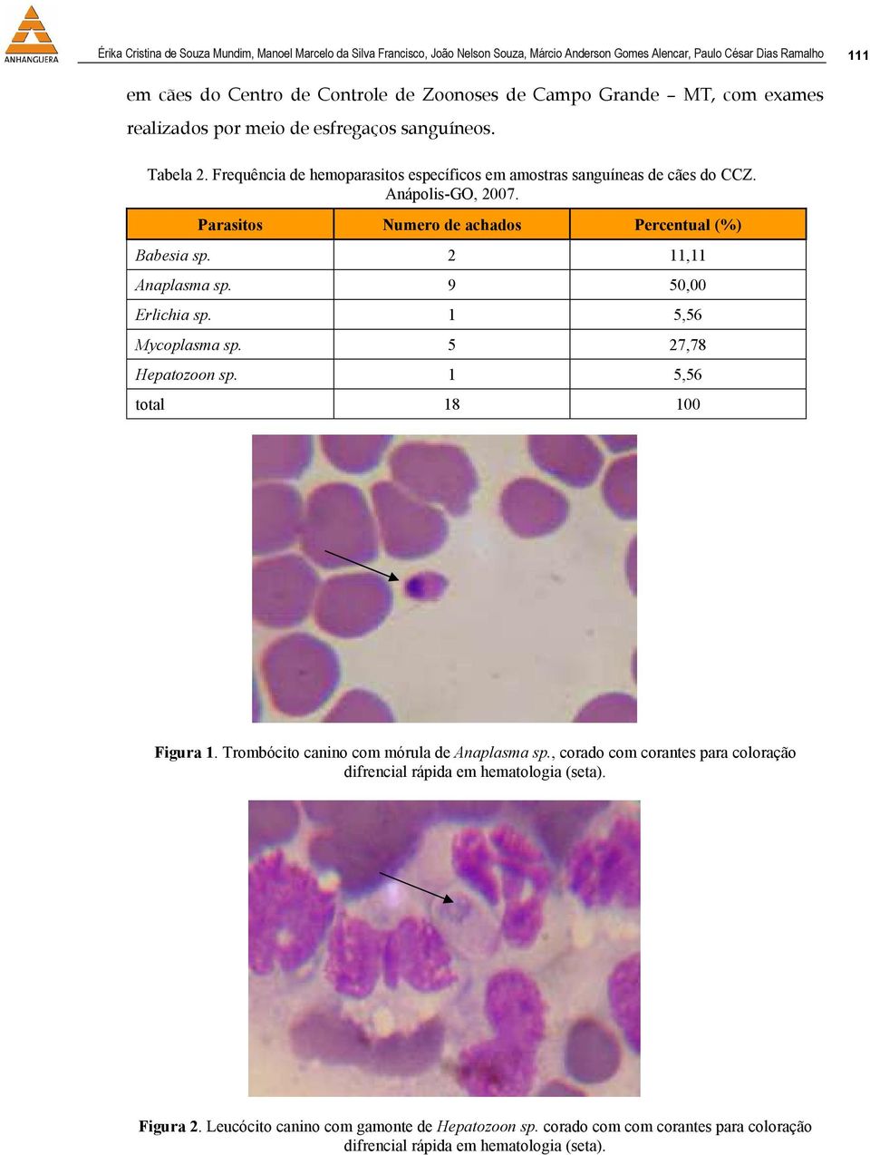 Parasitos Numero de achados Percentual (%) Babesia sp. 2 11,11 Anaplasma sp. 9 50,00 Erlichia sp. 1 5,56 Mycoplasma sp. 5 27,78 Hepatozoon sp. 1 5,56 total 18 100 Figura 1.