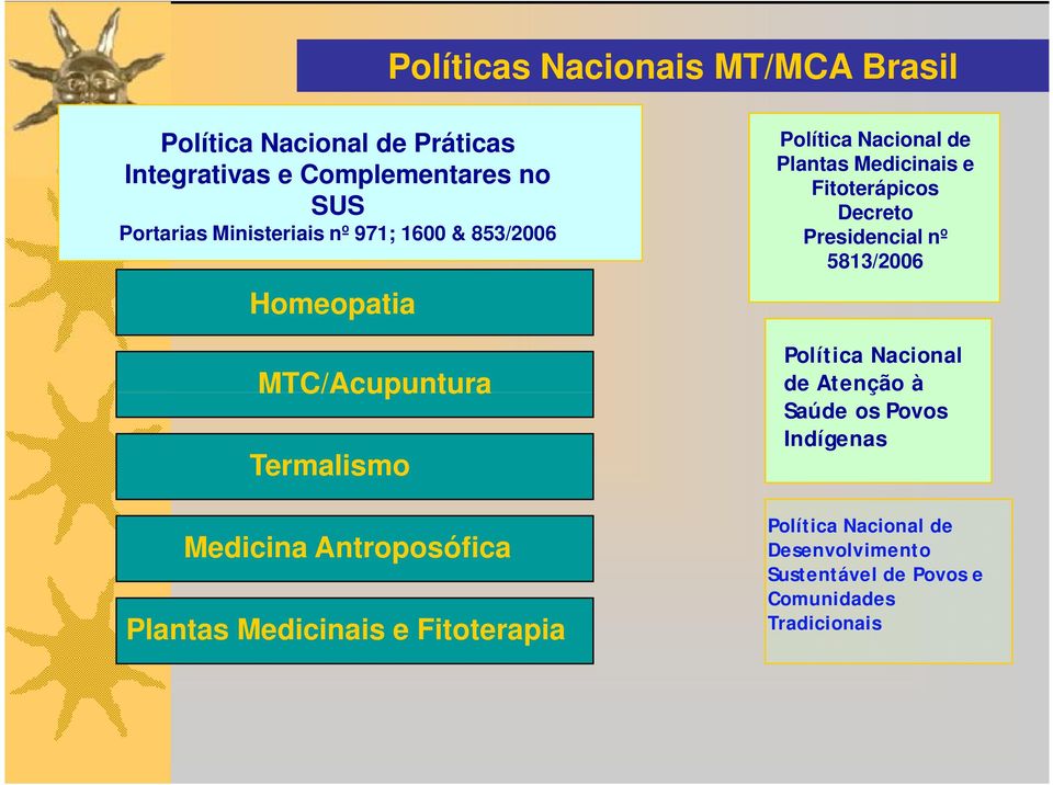 Fitoterapia Política Nacional de Plantas Medicinais e Fitoterápicos Decreto Presidencial nº 5813/2006 Política