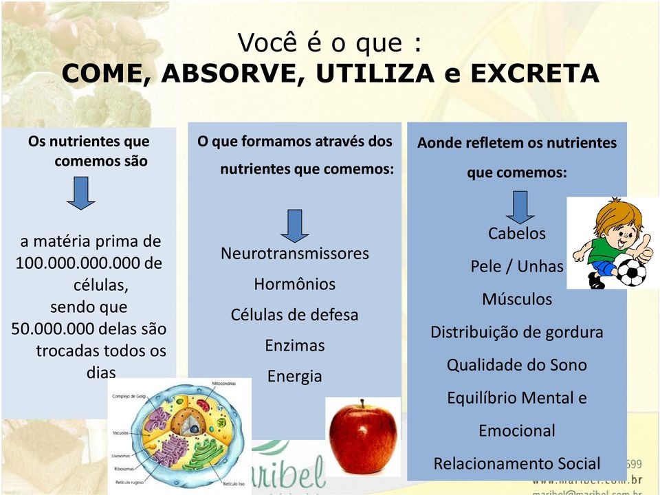 000.000 de células, sendo que 50.000.000 delas são trocadas todos os dias Neurotransmissores Hormônios Células de