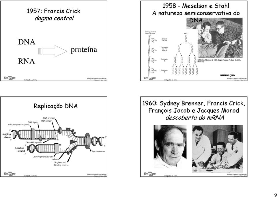 proteína animação Replicação DNA 1960: Sydney Brenner,