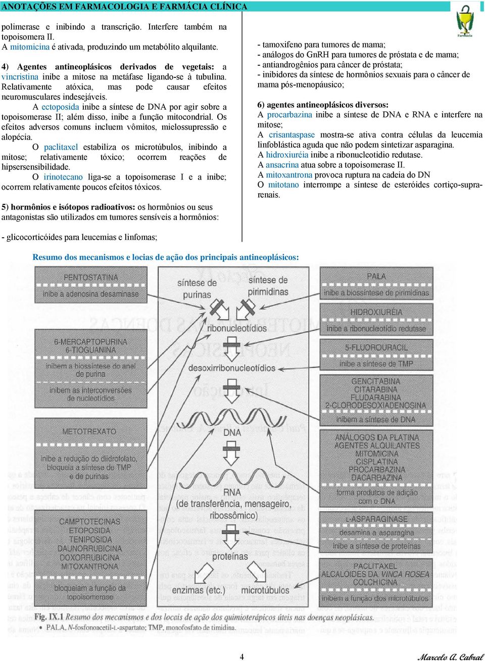 A ectoposida inibe a síntese de DNA por agir sobre a topoisomerase II; além disso, inibe a função mitocondrial. Os efeitos adversos comuns incluem vômitos, mielossupressão e alopécia.