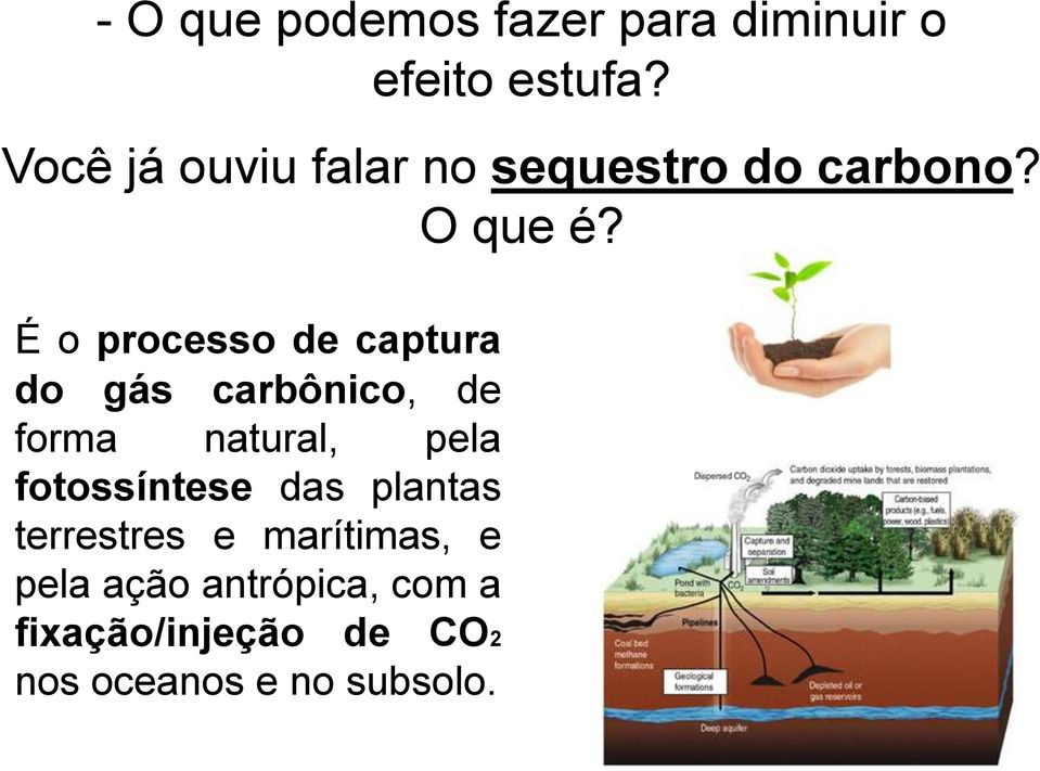 É o processo de captura do gás carbônico, de forma natural, pela