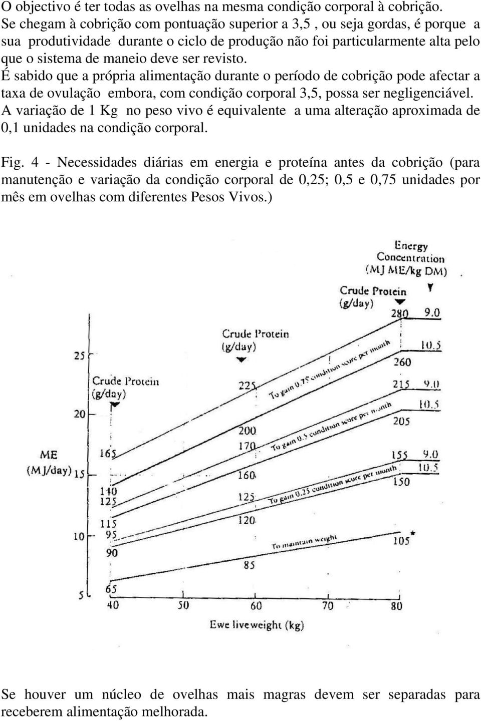 É sabido que a própria alimentação durante o período de cobrição pode afectar a taxa de ovulação embora, com condição corporal 3,5, possa ser negligenciável.