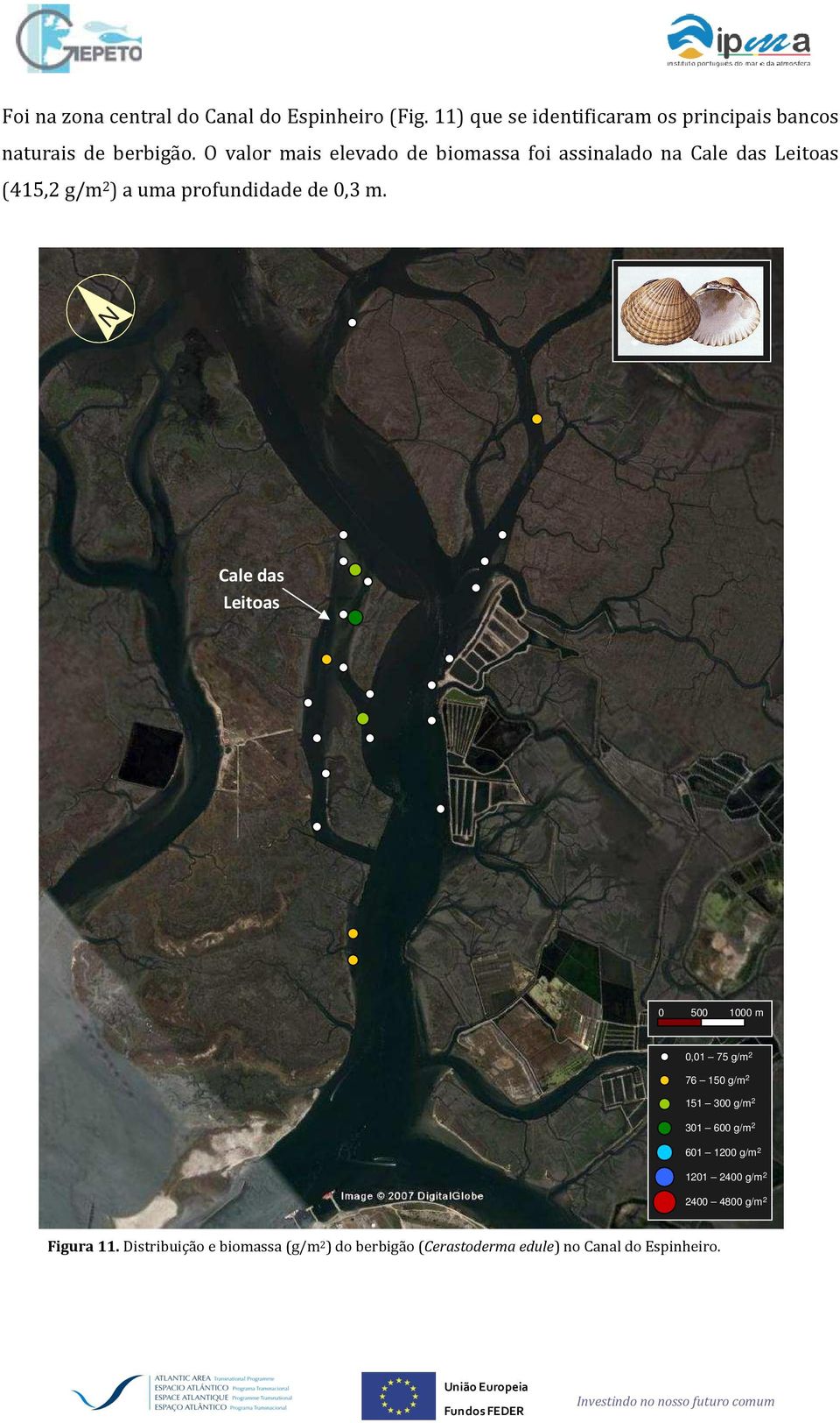 O valor mais elevado de biomassa foi assinalado na Cale das Leitoas (415,2 g/m 2 ) a