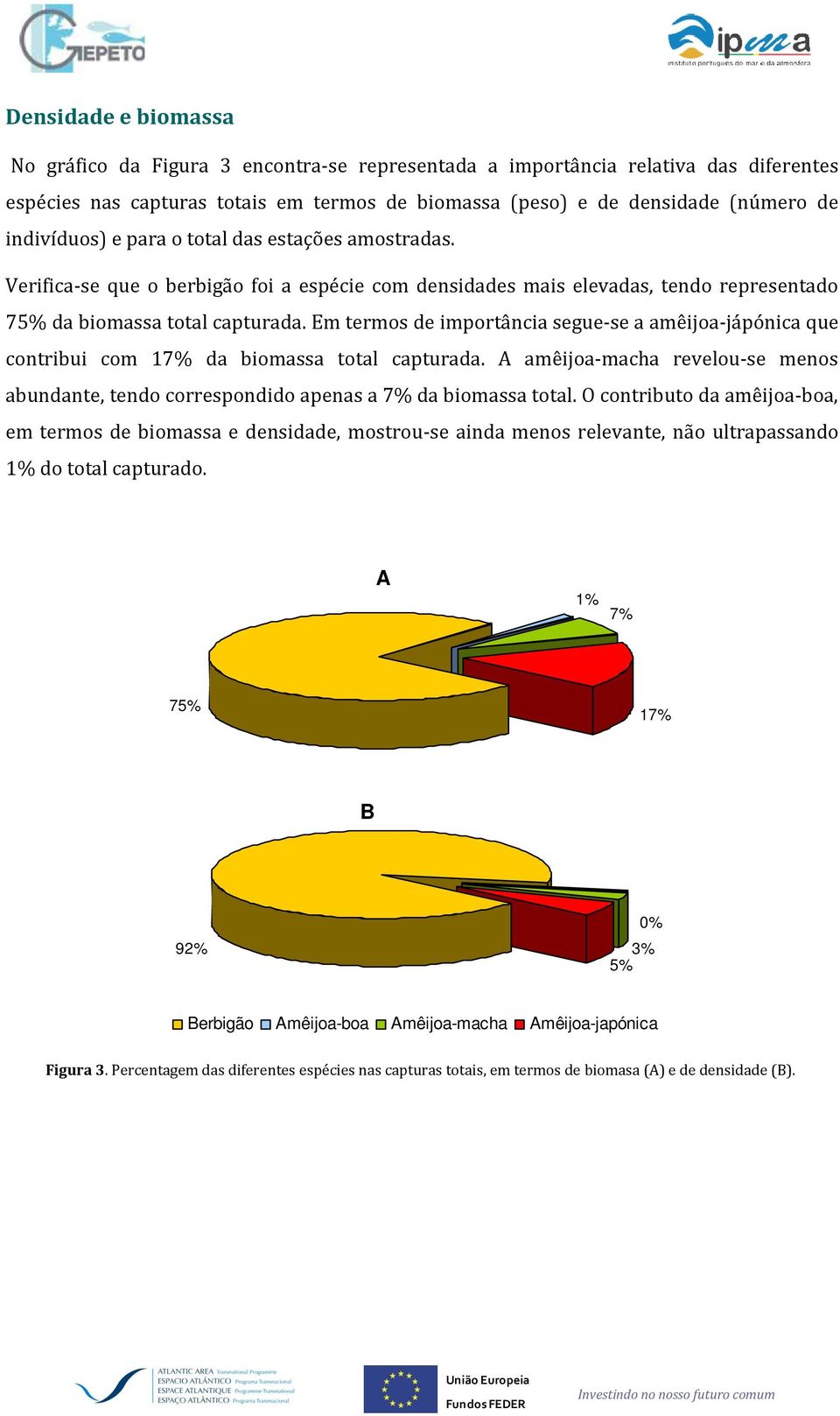 Em termos de importância segue-se a amêijoa-jápónica que contribui com 17% da biomassa total capturada. A amêijoa-macha revelou-se menos abundante, tendo correspondido apenas a 7% da biomassa total.