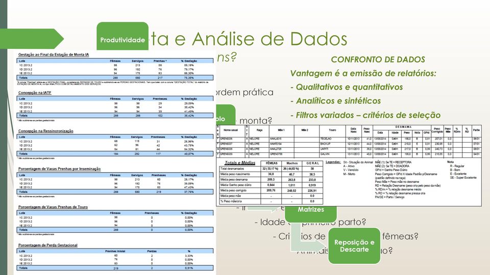 Hormônios - Melhores índices de desmama? - Ponderal e GMD bezerros? Idade - Intervalo entre partos?