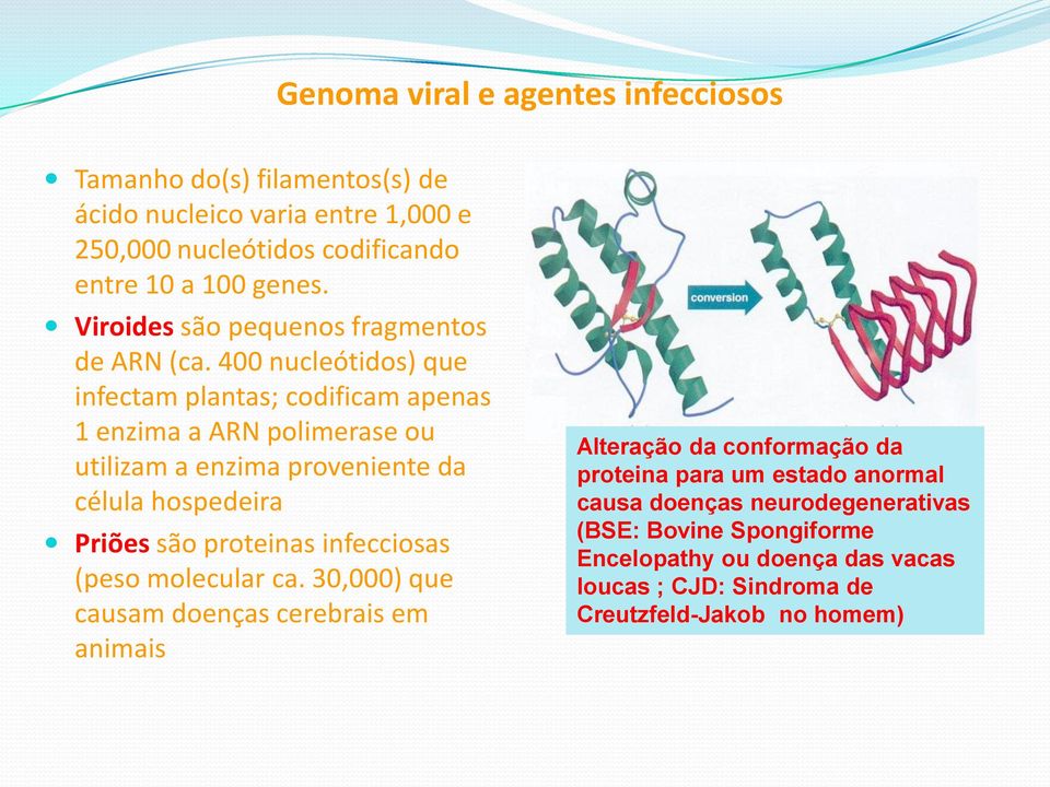 400 nucleótidos) que infectam plantas; codificam apenas 1 enzima a ARN polimerase ou utilizam a enzima proveniente da célula hospedeira Priões são proteinas