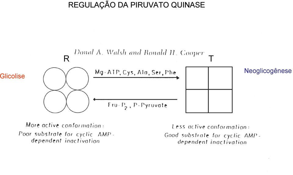 QUINASE