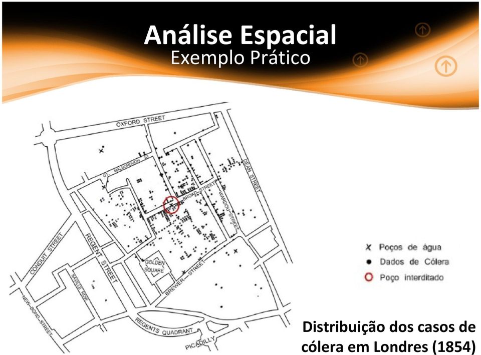 Distribuição dos