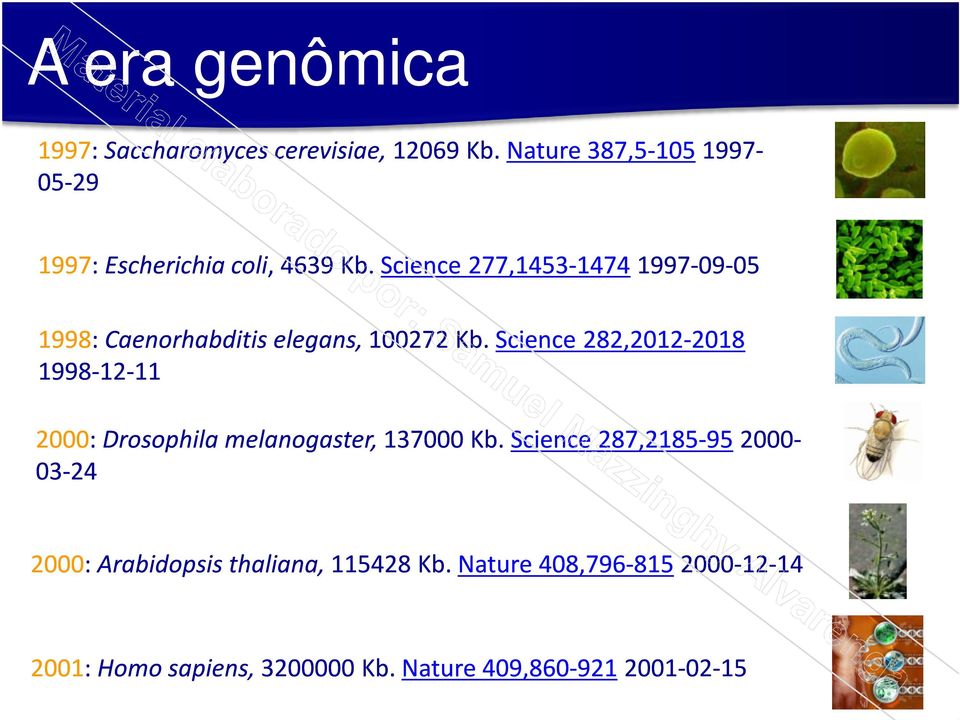 Science 282,2012-20182018 1998-12-1111 1997: Saccharomyces cerevisiae, 12069 Kb.