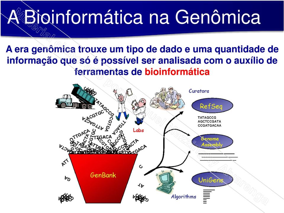 informação que só é possível ser analisada