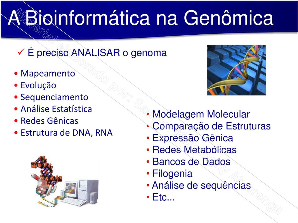 DNA, RNA Modelagem Molecular Comparação de Estruturas Expressão Gênica