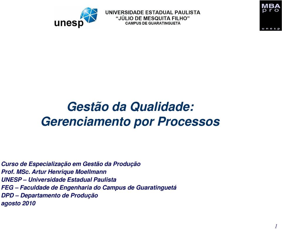 Artur Henrique Moellmann UNESP Universidade Estadual Paulista FEG