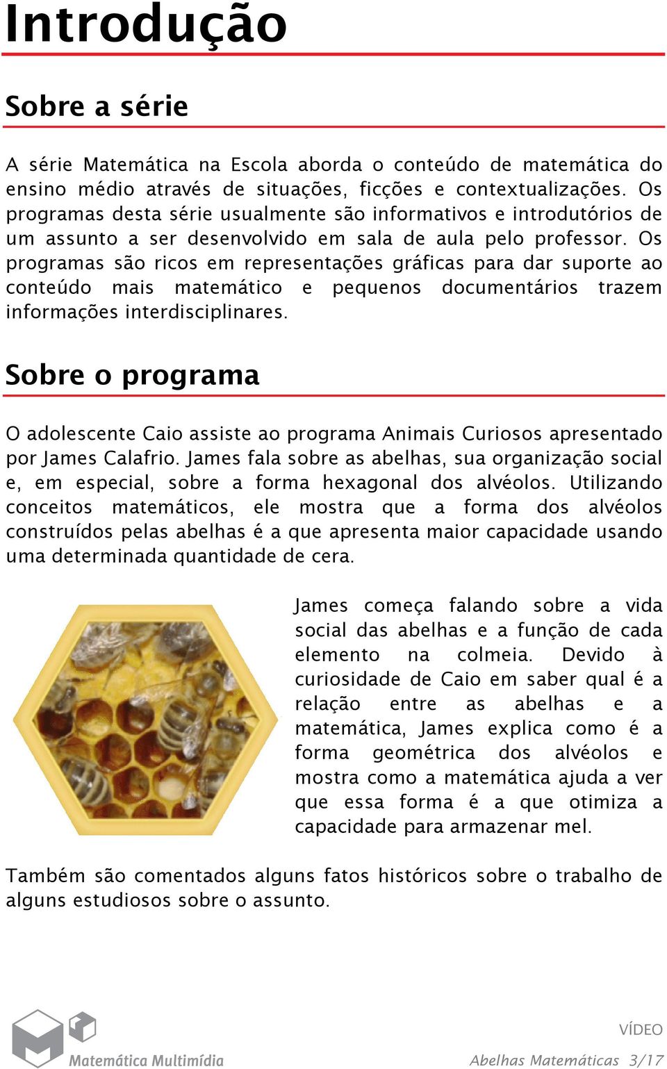 Os programas são ricos em representações gráficas para dar suporte ao conteúdo mais matemático e pequenos documentários trazem informações interdisciplinares.