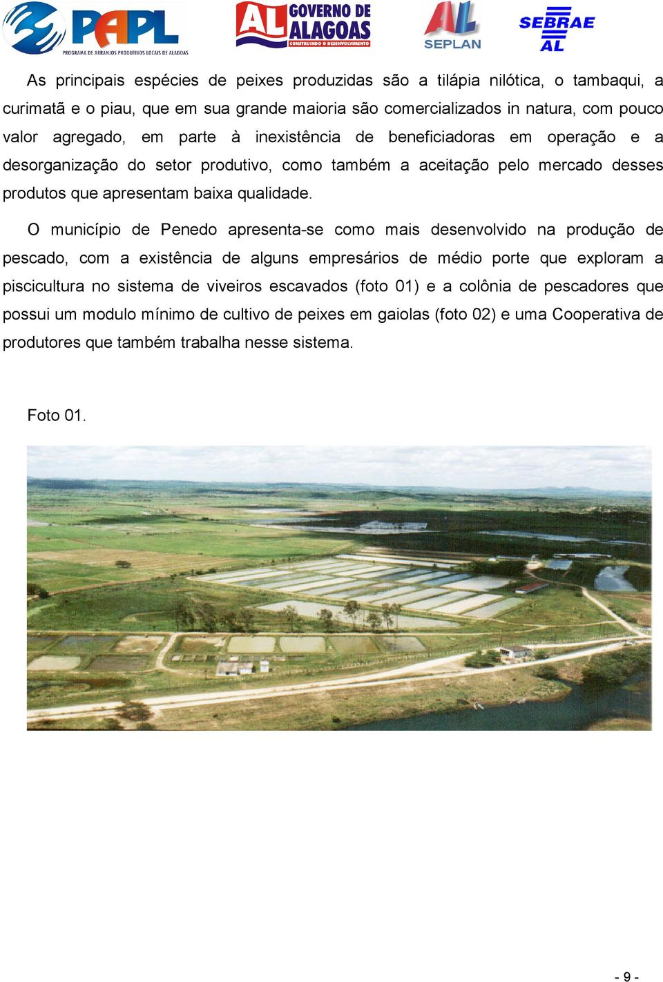 O município de Penedo apresenta-se como mais desenvolvido na produção de pescado, com a existência de alguns empresários de médio porte que exploram a piscicultura no sistema de viveiros