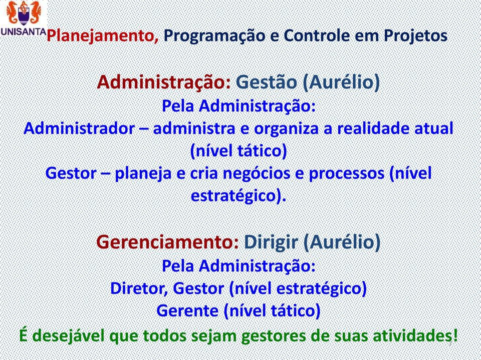 e processos (nível estratégico).