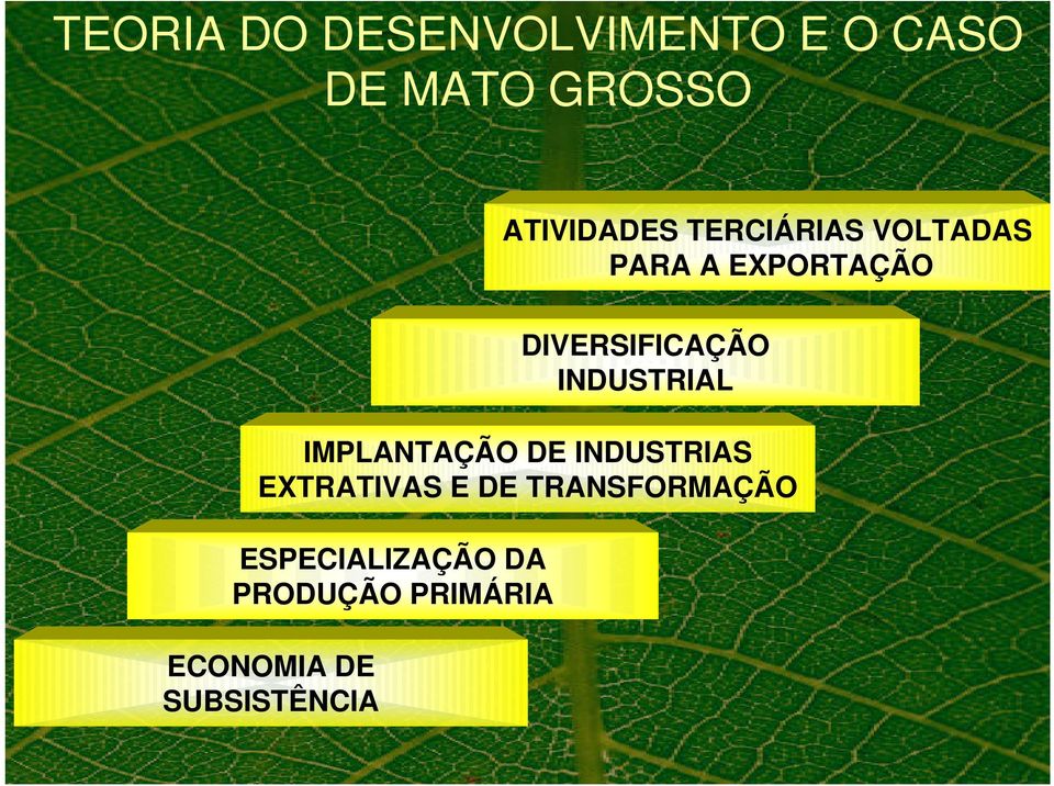TRANSFORMAÇÃO Economista ESPECIALIZAÇÃO (UFMT) Amado DA de Oliveira Filho PRODUÇÃO