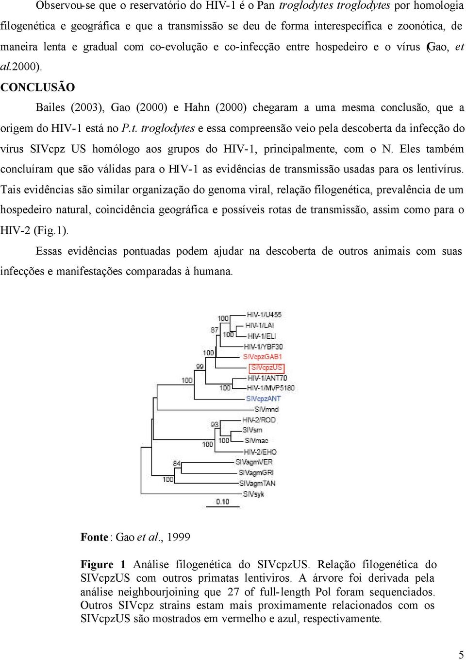 Eles também concluíram que são válidas para o HIV-1 as evidências de transmissão usadas para os lentivírus.