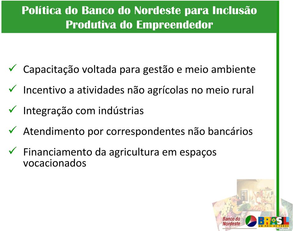 não agrícolas no meio rural Integração com indústrias Atendimento por