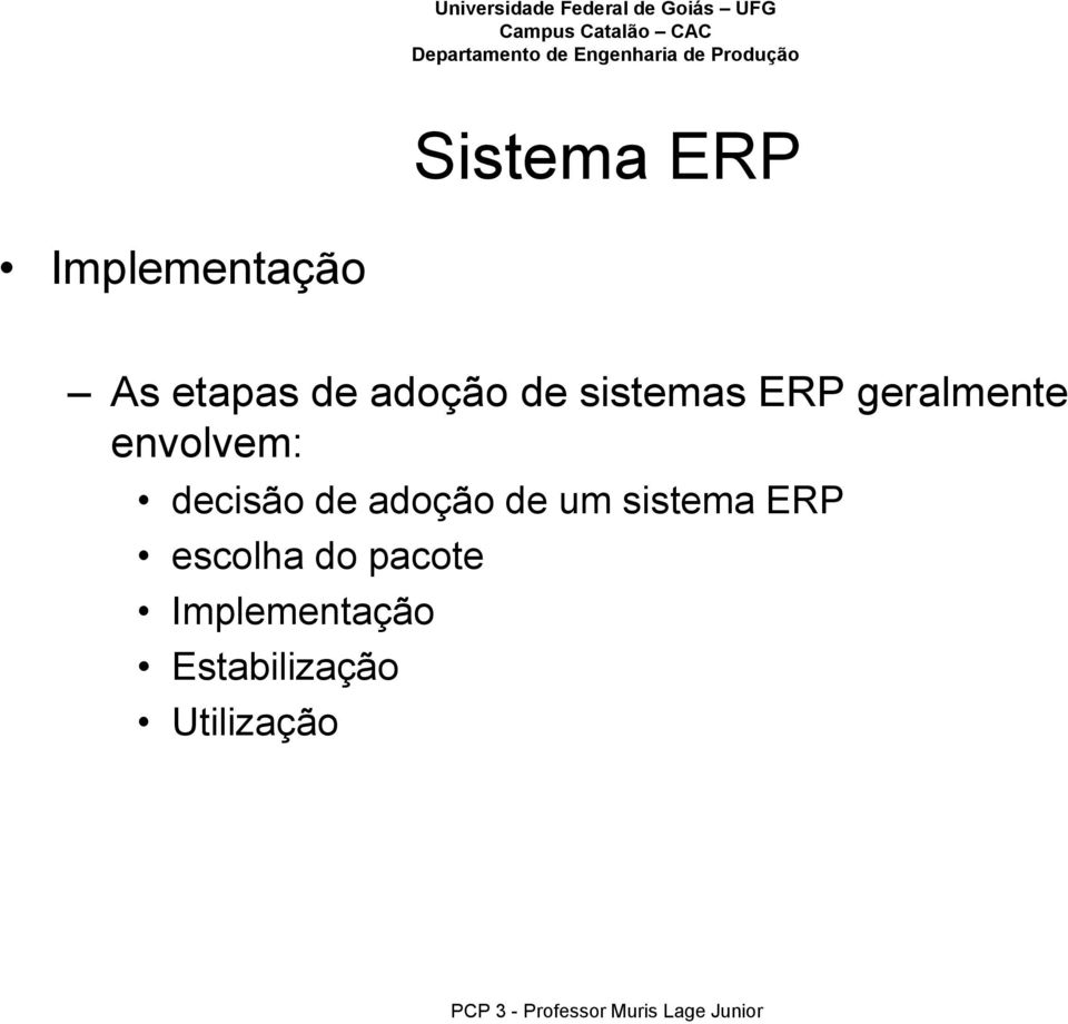 de adoção de um sistema ERP