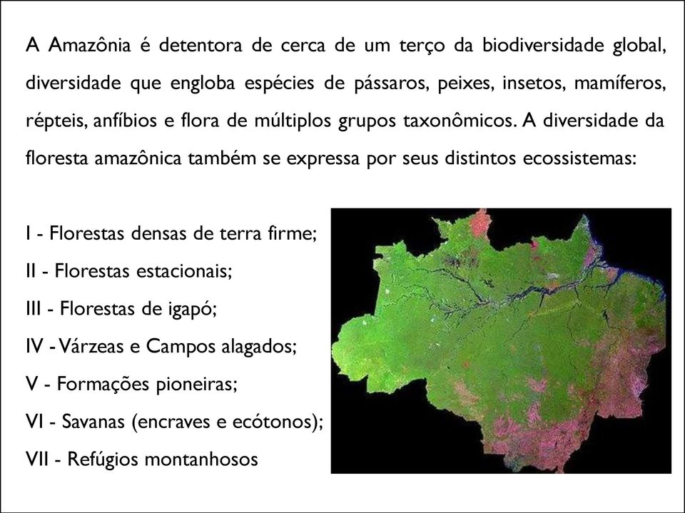 A diversidade da floresta amazônica também se expressa por seus distintos ecossistemas: I - Florestas densas de terra firme;