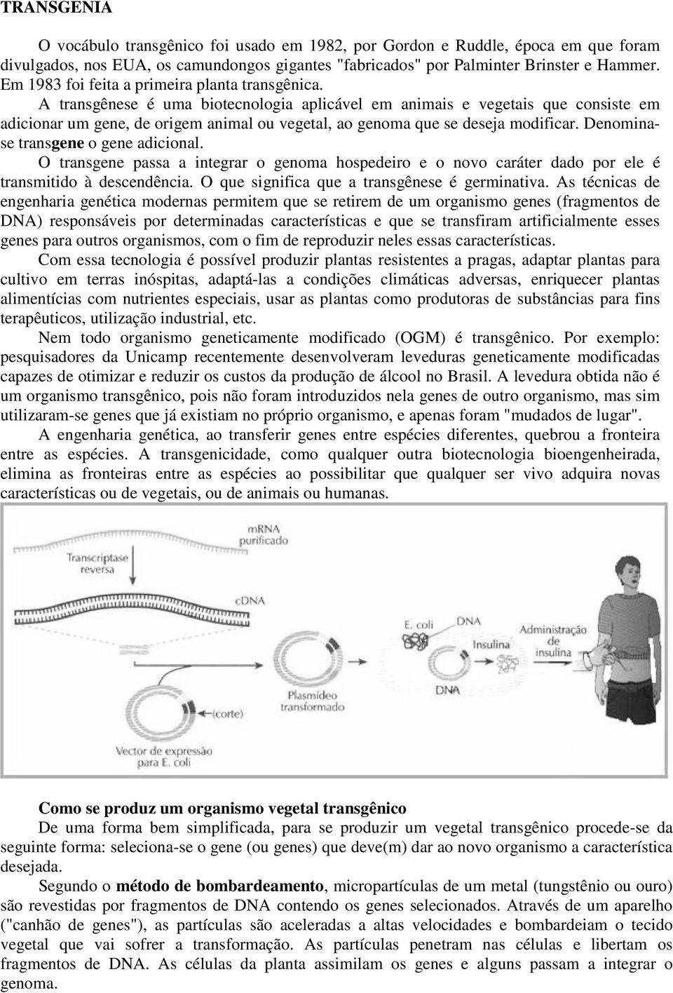 A transgênese é uma biotecnologia aplicável em animais e vegetais que consiste em adicionar um gene, de origem animal ou vegetal, ao genoma que se deseja modificar.