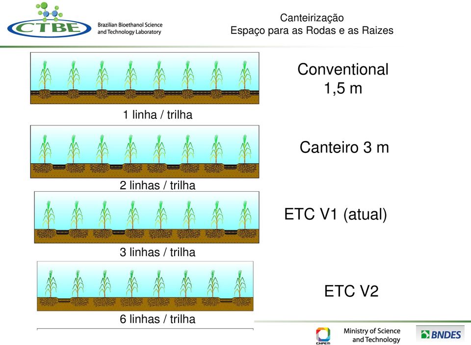 Canteiro 3 m 2 linhas / trilha ETC V1