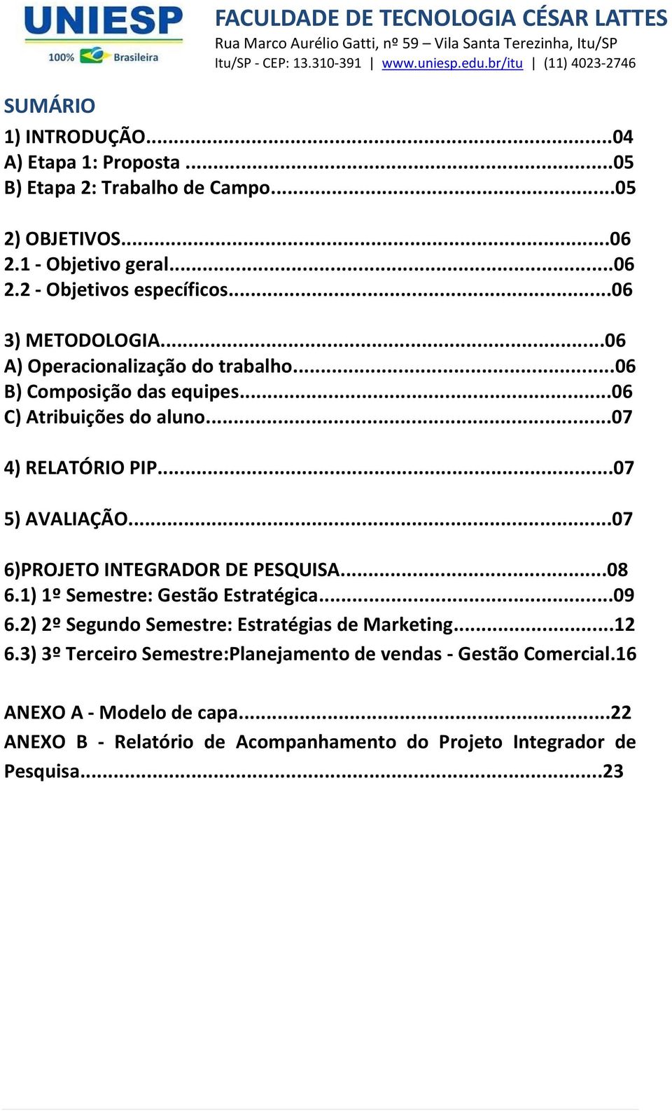 ..07 6)PROJETO INTEGRADOR DE PESQUISA...08 6.1) 1º Semestre: Gestão Estratégica...09 6.2) 2º Segundo Semestre: Estratégias de Marketing...12 6.