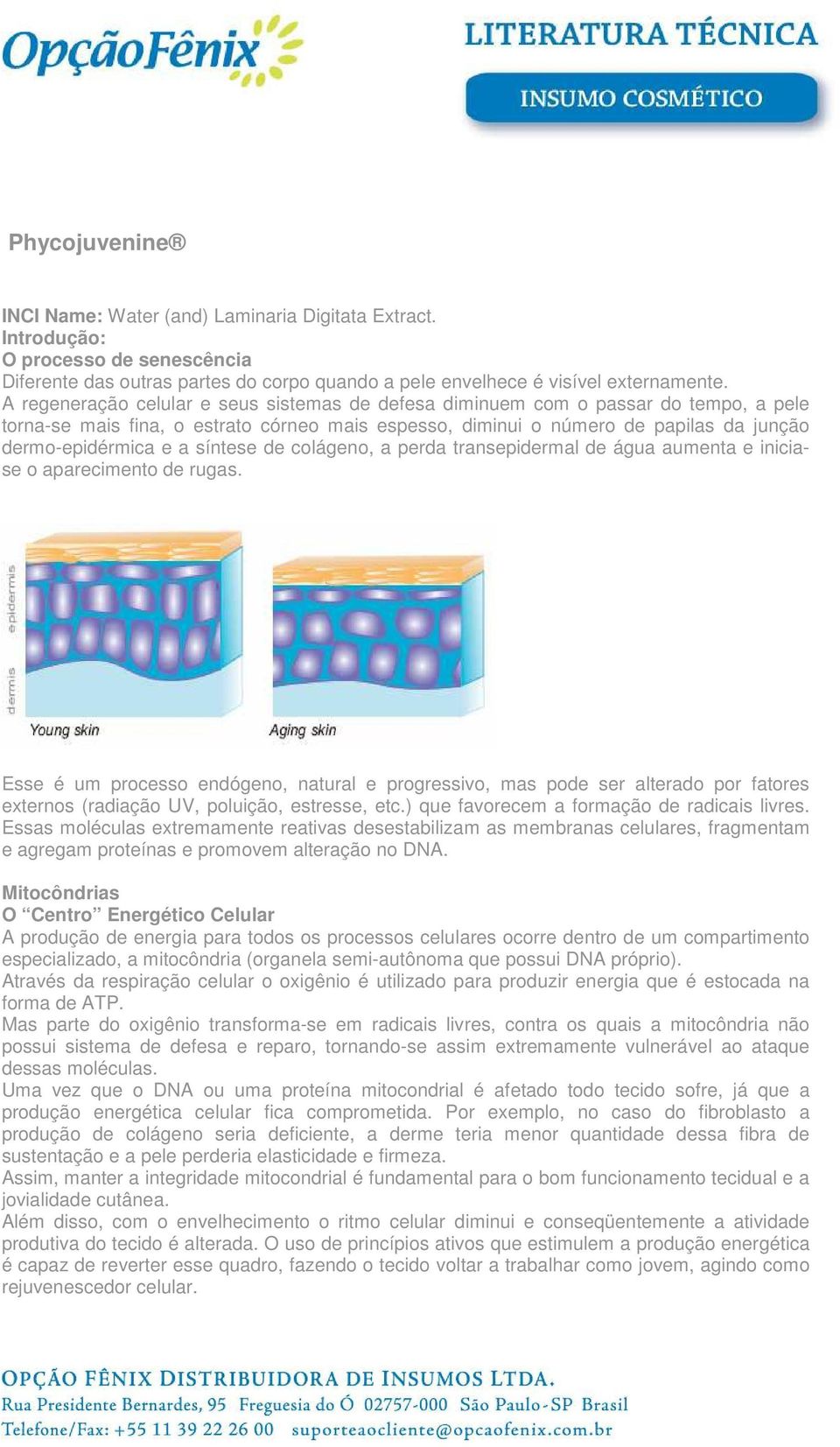 síntese de colágeno, a perda transepidermal de água aumenta e iniciase o aparecimento de rugas.