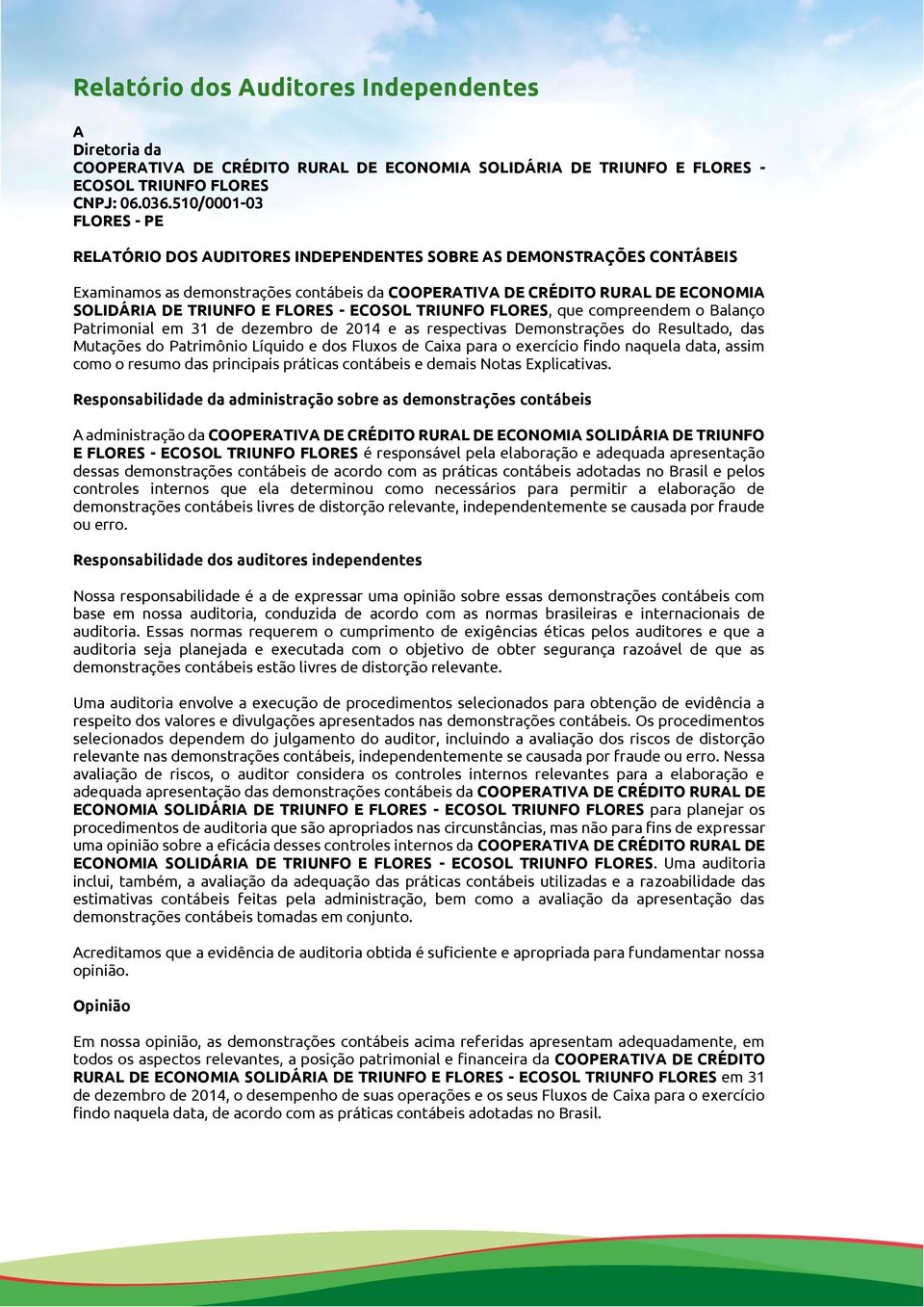 FLORES - ECOSOL TRIUNFO FLORES, que compreendem o Balanço Patrimonial em 31 de dezembro de 2014 e as respectivas Demonstrações do Resultado, das Mutações do Patrimônio Líquido e dos Fluxos de Caixa