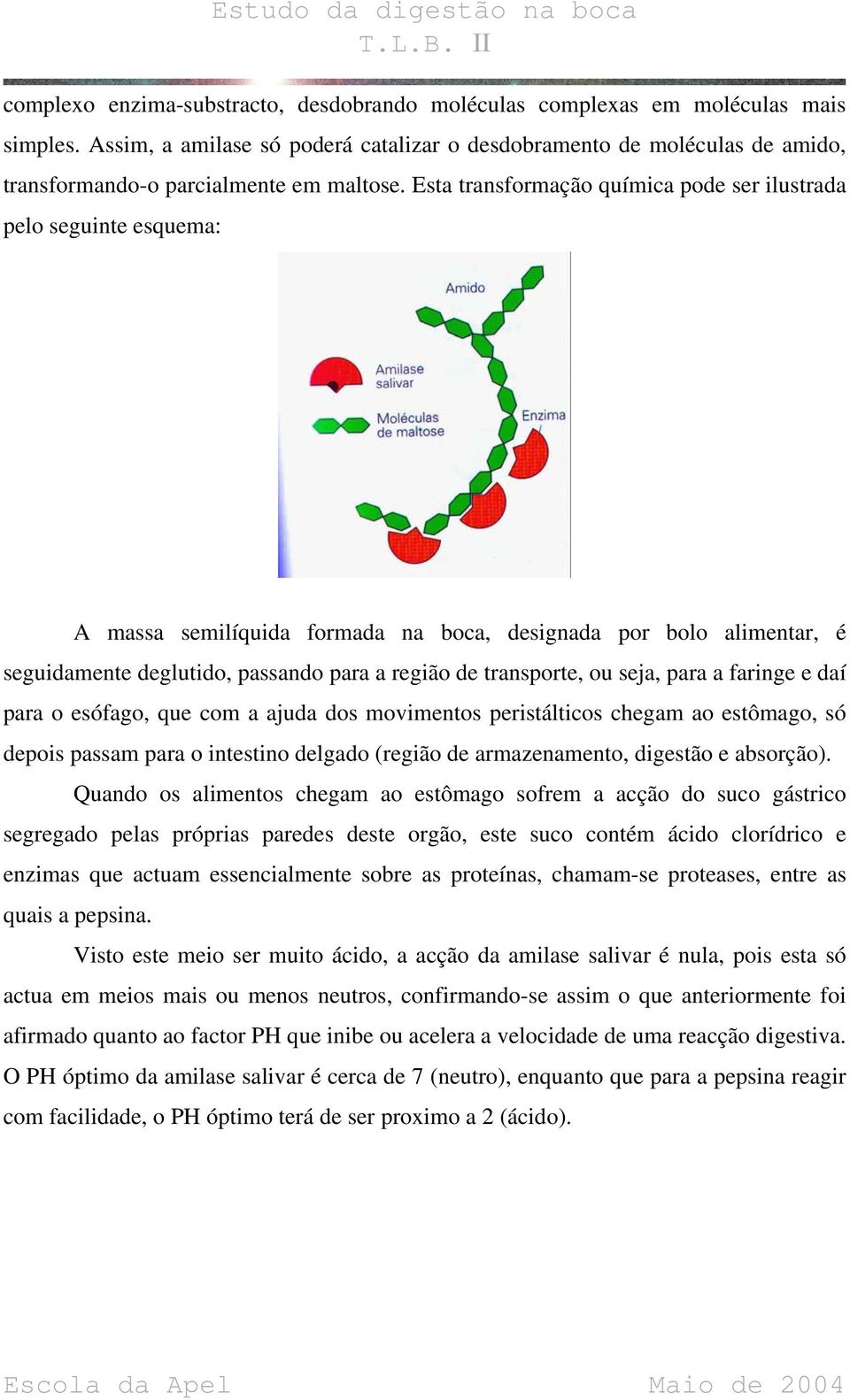 Esta transformação química pode ser ilustrada pelo seguinte esquema: A massa semilíquida formada na boca, designada por bolo alimentar, é seguidamente deglutido, passando para a região de transporte,