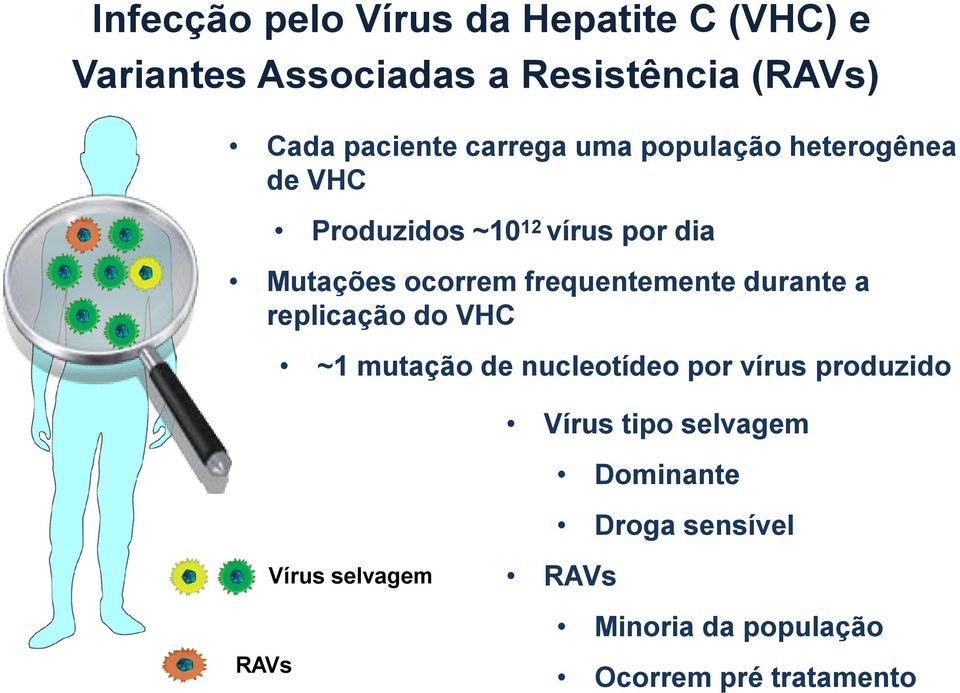 frequentemente durante a replicação do VHC ~1 mutação de nucleotídeo por vírus produzido Vírus
