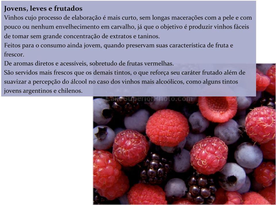 Feitos para o consumo ainda jovem, quando preservam suas característica de fruta e frescor. De aromas diretos e acessíveis, sobretudo de frutas vermelhas.