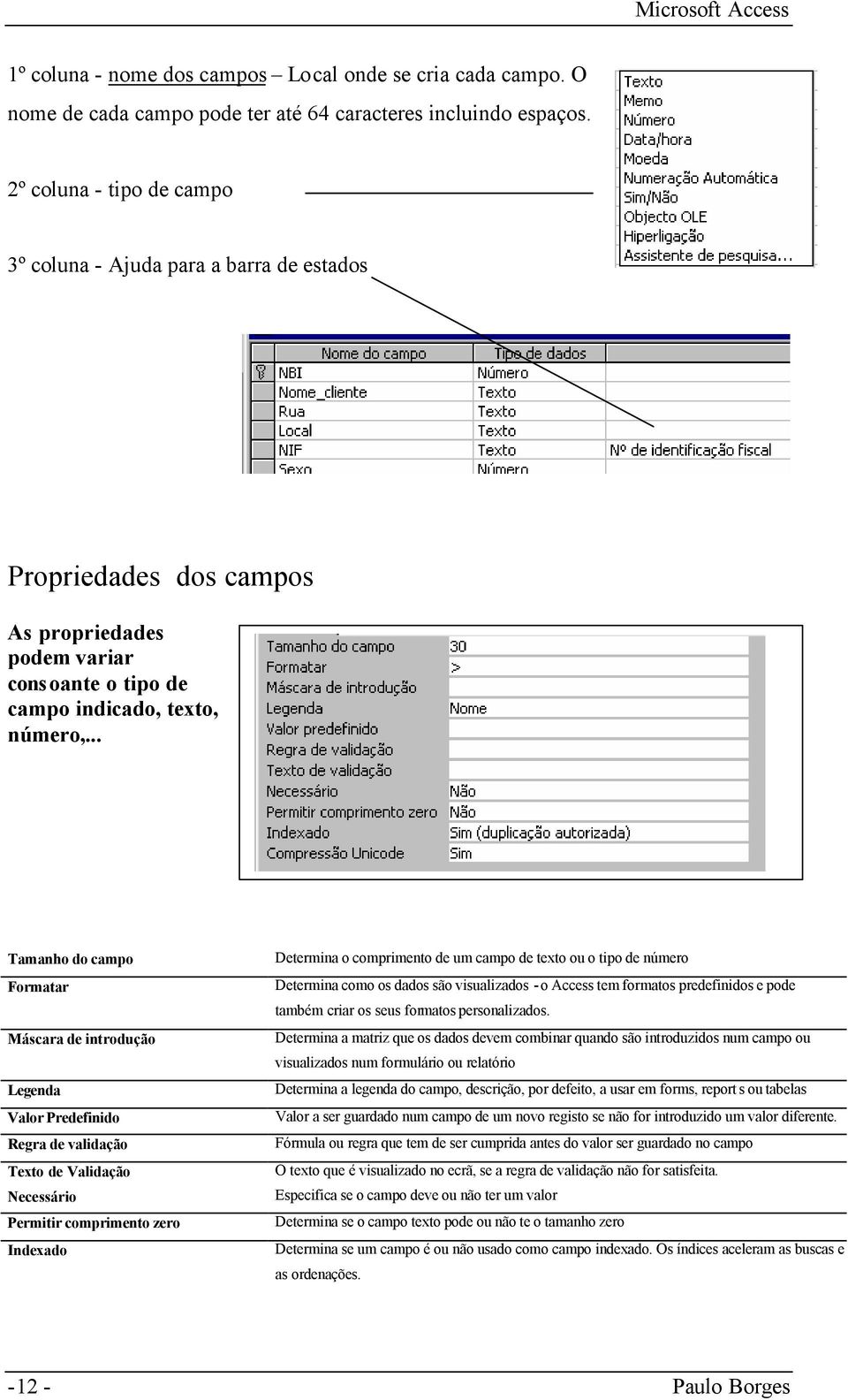 .. Tamanho do campo Formatar Máscara de introdução Legenda Valor Predefinido Regra de validação Texto de Validação Necessário Permitir comprimento zero Indexado Determina o comprimento de um campo de