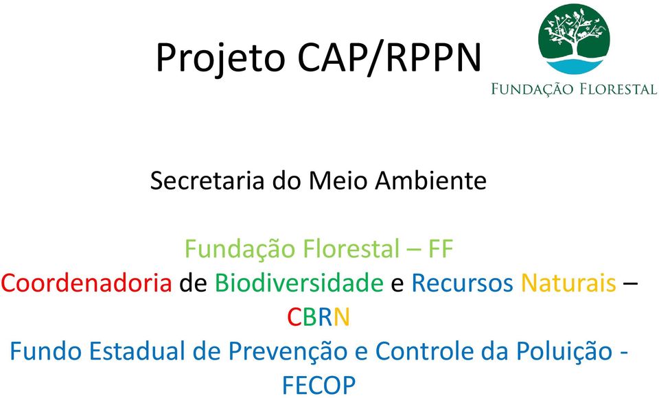 Biodiversidade e Recursos Naturais CBRN Fundo