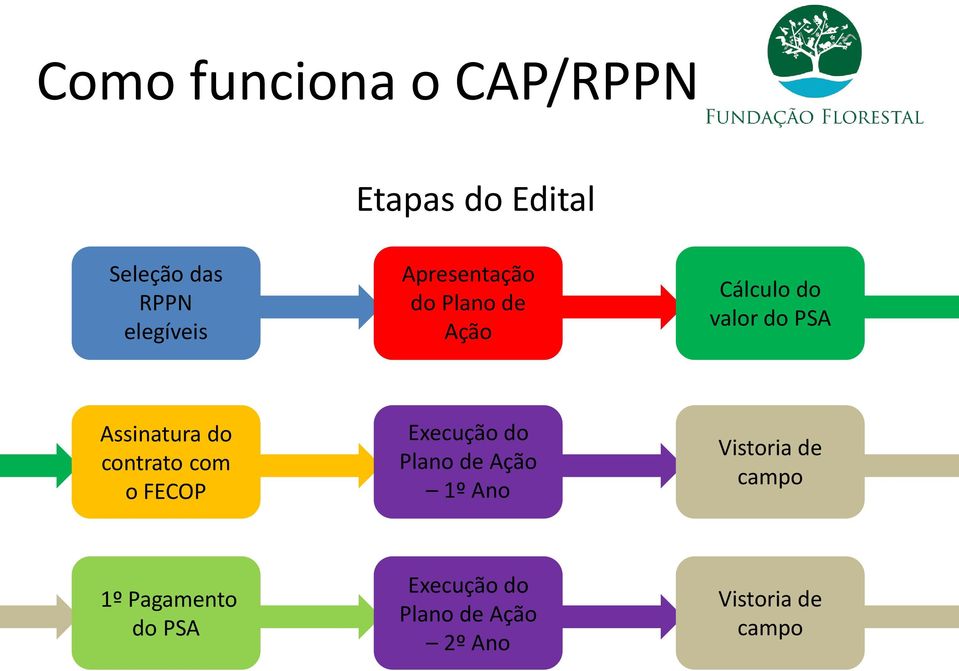 contrato com o FECOP Execução do Plano de Ação 1º Ano Vistoria de