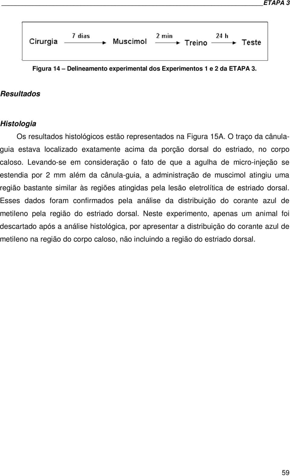 Levando-se em consideração o fato de que a agulha de micro-injeção se estendia por 2 mm além da cânula-guia, a administração de muscimol atingiu uma região bastante similar às regiões atingidas pela