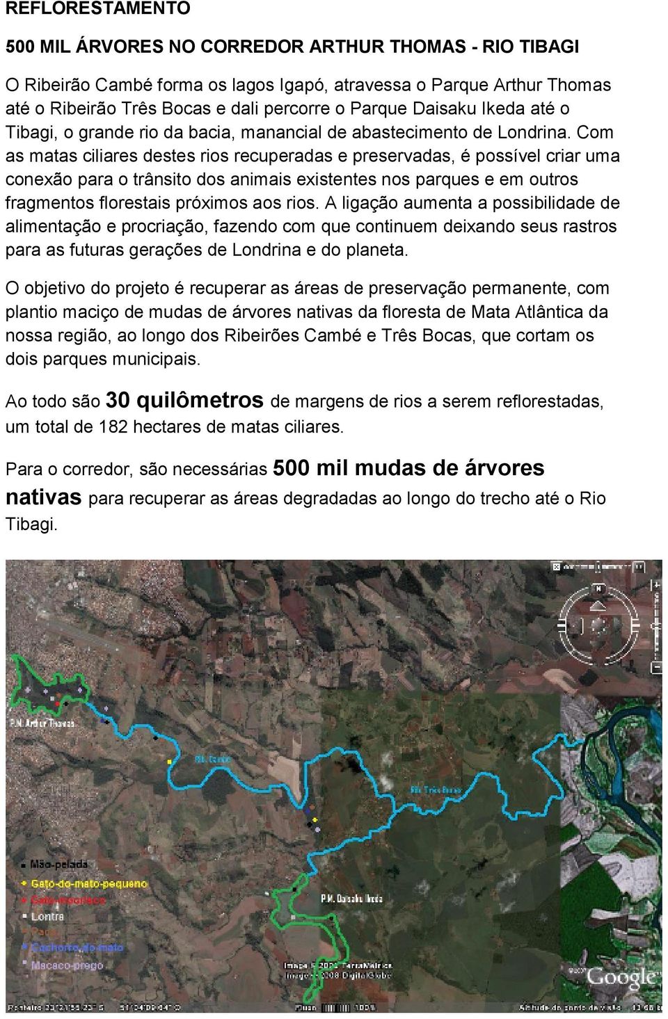 Com as matas ciliares destes rios recuperadas e preservadas, é possível criar uma conexão para o trânsito dos animais existentes nos parques e em outros fragmentos florestais próximos aos rios.