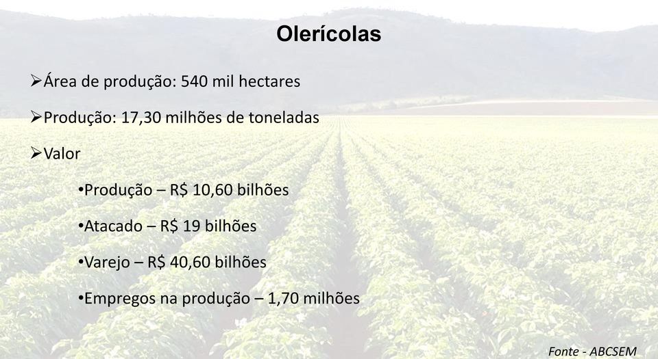 Produção R$ 10,60 bilhões Atacado R$ 19 bilhões