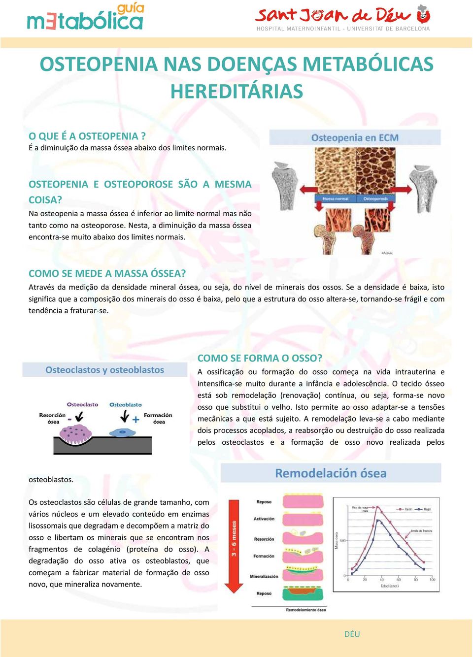 Através da medição da densidade mineral óssea, ou seja, do nível de minerais dos ossos.