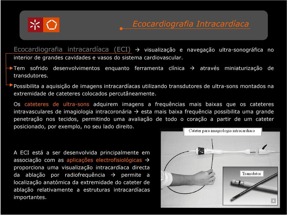 Possibilita a aquisição de imagens intracardíacas utilizando transdutores de ultra-sons montados na extremidade de cateteres colocados percutâneamente.