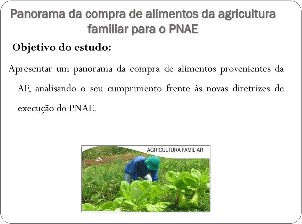 compra de alimentos provenientes da AF, analisando o seu