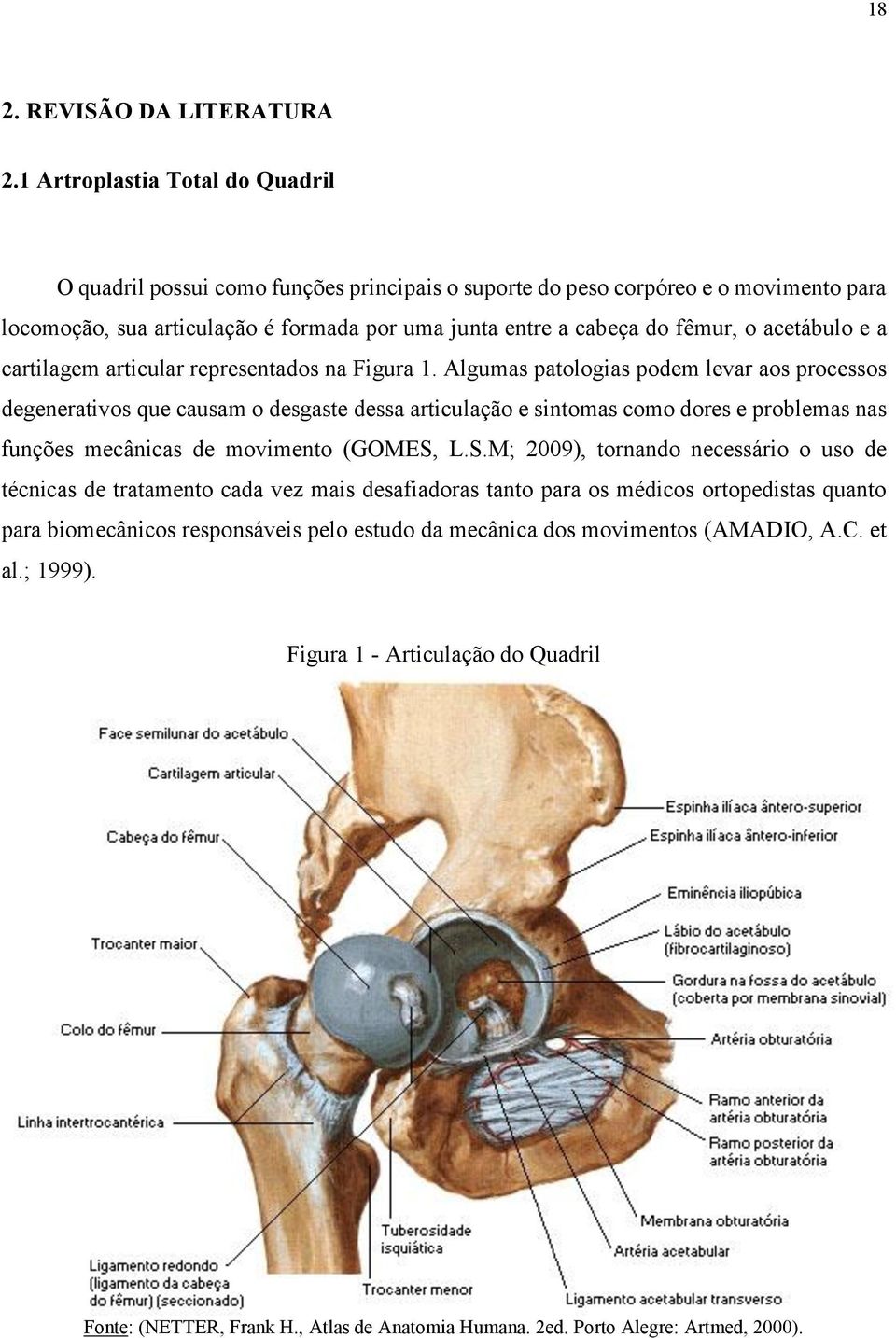 acetábulo e a cartilagem articular representados na Figura 1.
