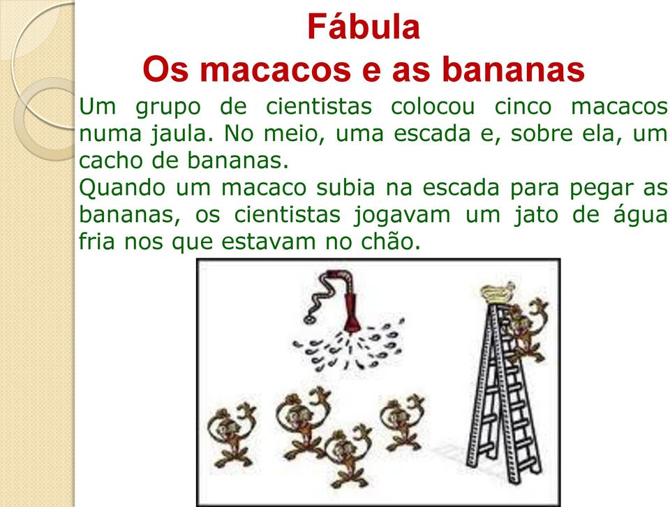 No meio, uma escada e, sobre ela, um cacho de bananas.